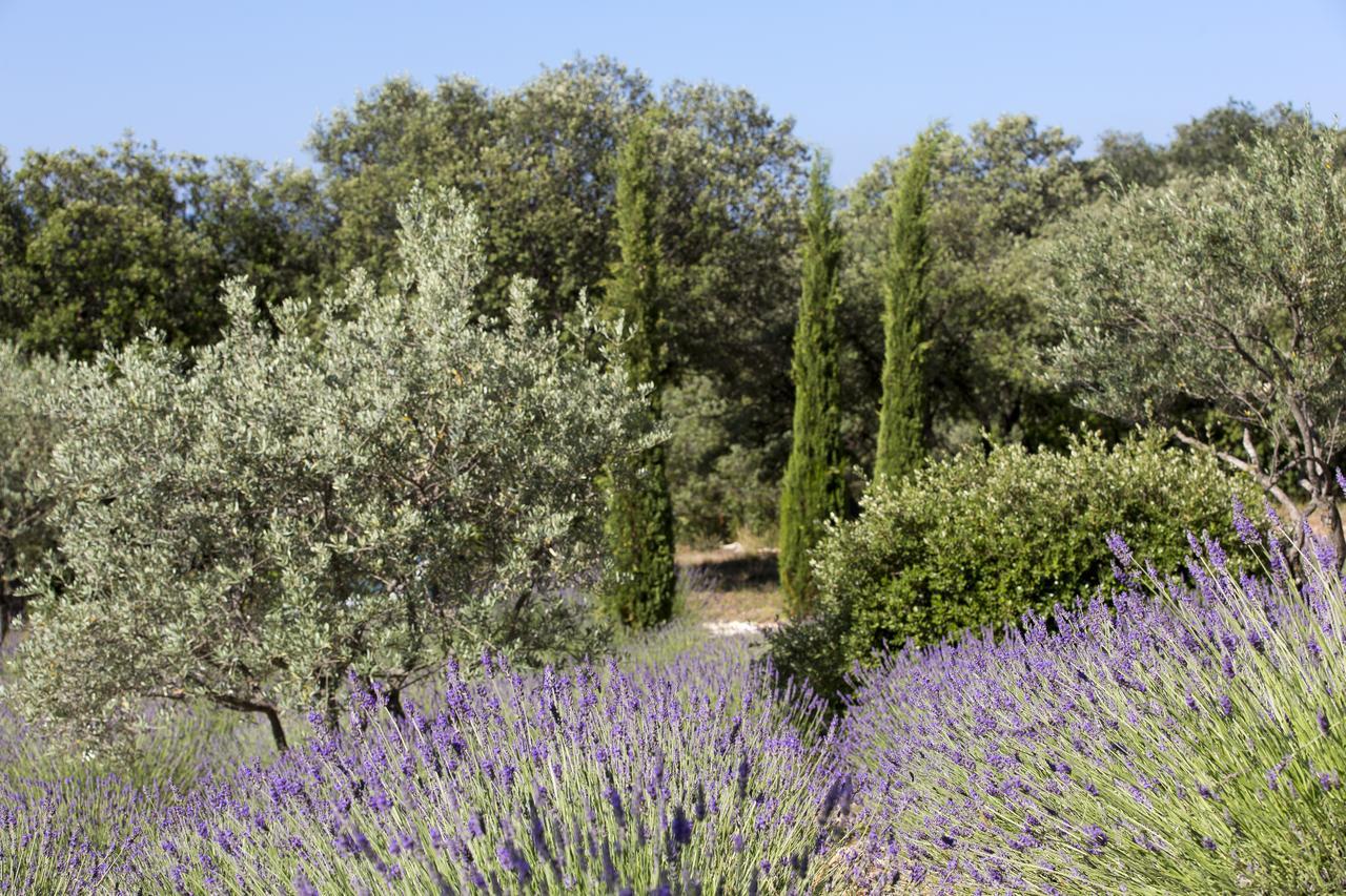 La Cle Des Champs, Boutique Hotel & Spa - Le Mas De Garrigon Roussillon en Isere Eksteriør bilde
